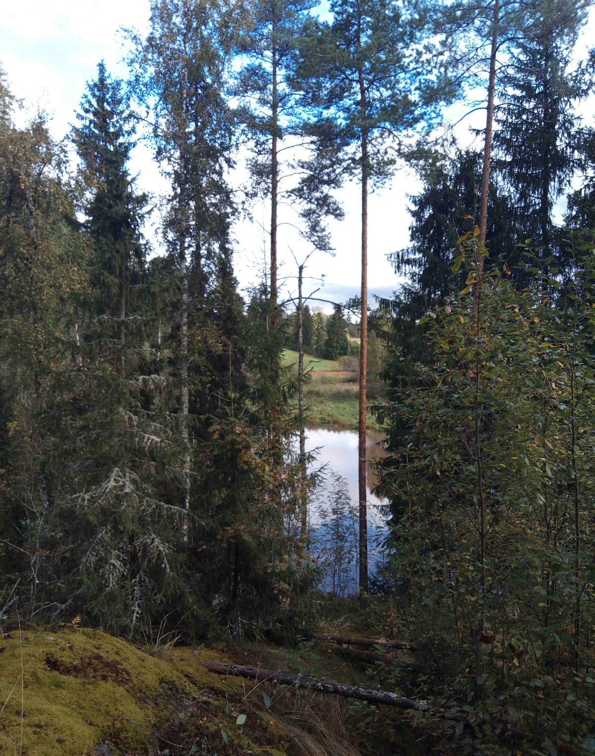 Myllynkulman kyläseura ry