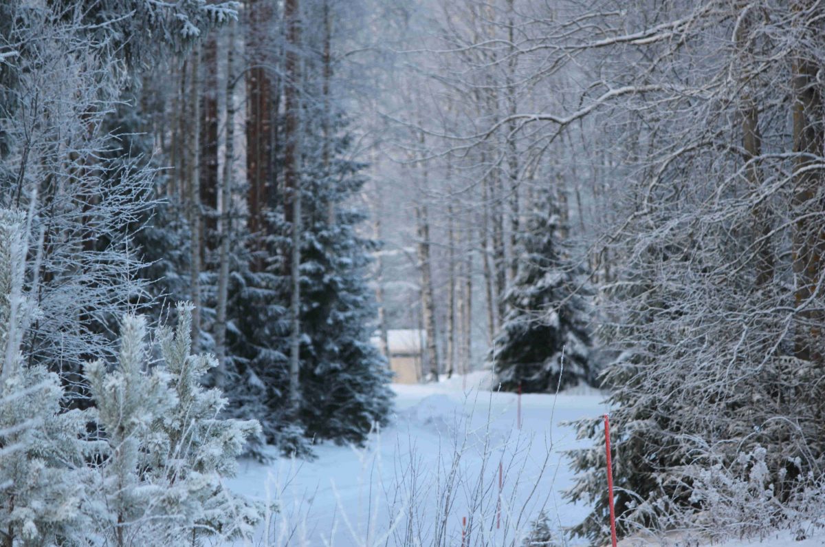 Myllynkulman kyläseura ry